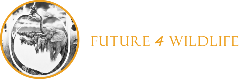 FUTURE 4 WILDLIFE